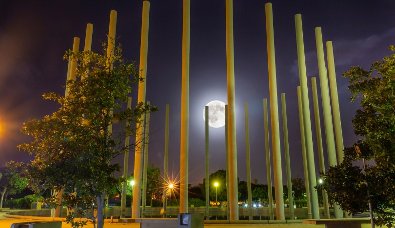 san_vicente_del _raspeig_elado_ingatlanok_c01